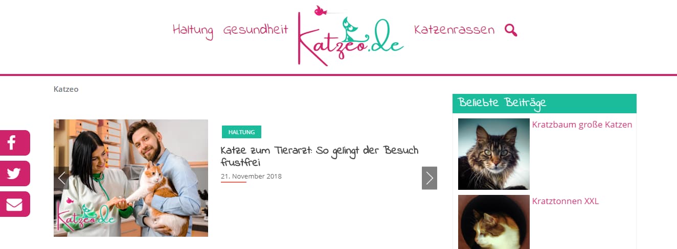 Katzenblog Katzeo
