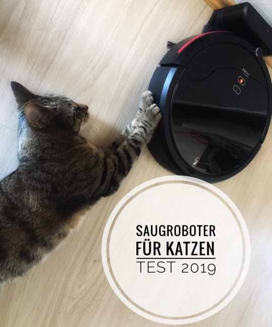 Saugroboter für Katzen