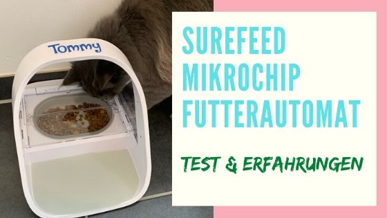 surefeed mikrochip futterautomat test