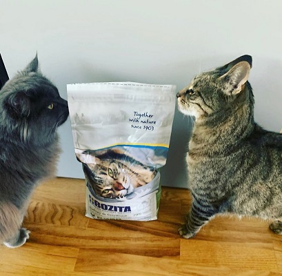 bozita katzenfutter test