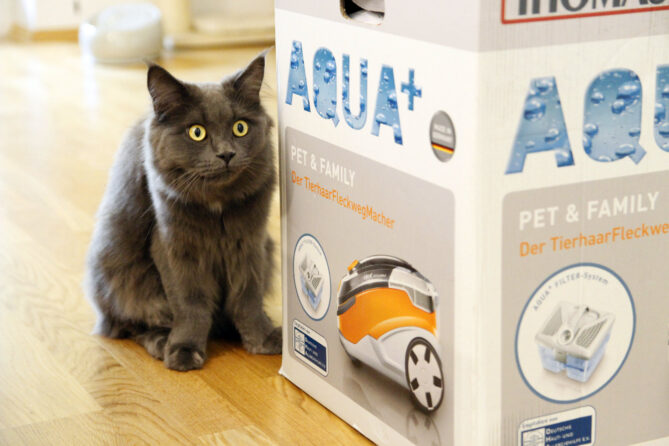 Thomas Aqua+ Pet & Family Staubsauger test