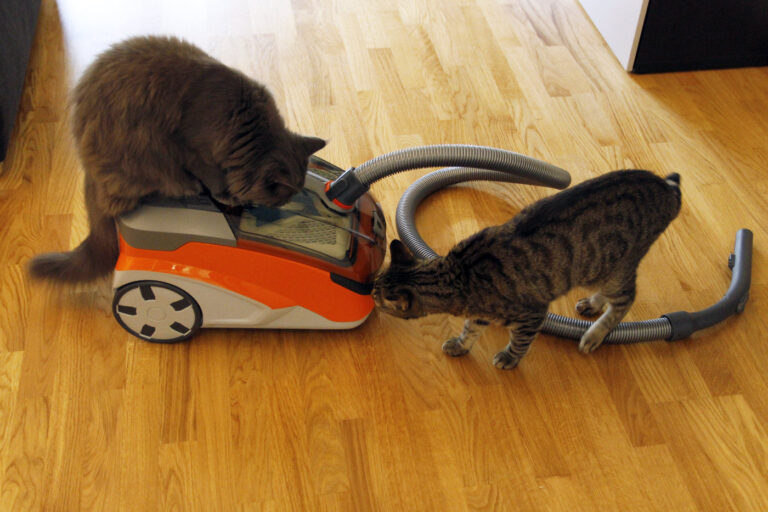 Thomas Aqua+ Pet & Family Test