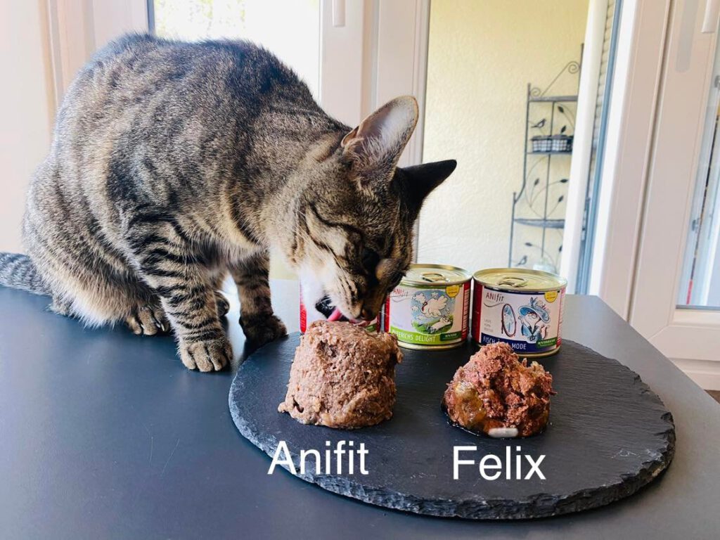 anifit katzenfutter testbericht