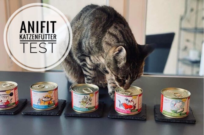 anifit katzenfutter test