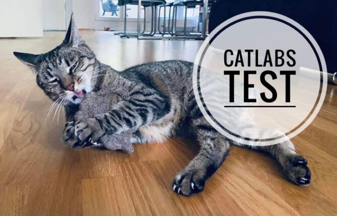 catlabs nachhaltiges katzenspielzeug test