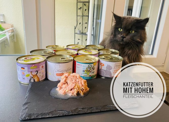 katzenfutter mit hohem fleischanteil