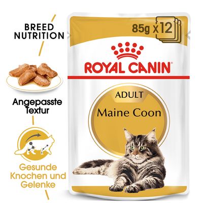 royal canin maine coon nassfutter