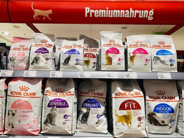 Welches Katzenfutter wird von Tierärzten empfohlen? Liste 2024