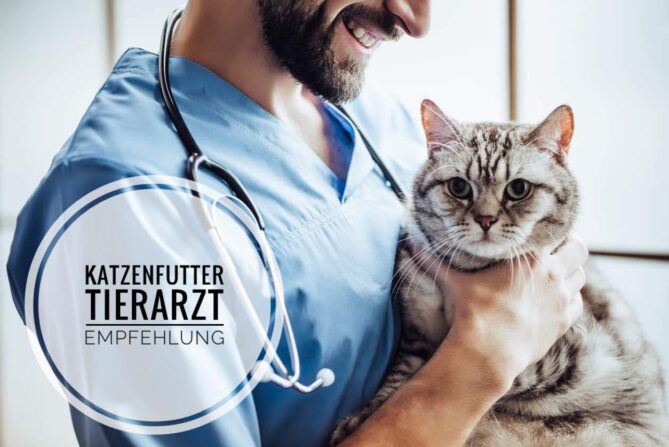 welches katzenfutter wird von tierärzten empfohlen