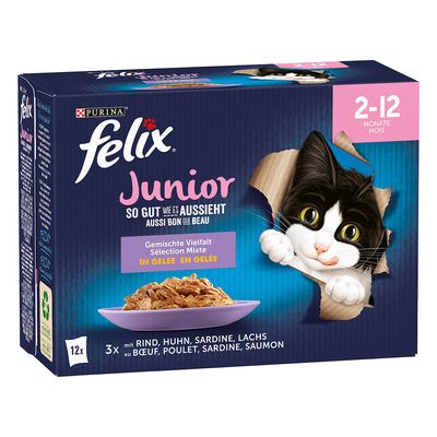 felix kittenfutter