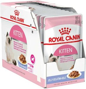 royal canin kitten