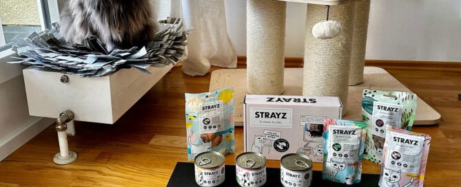 strayz katzenfutter test