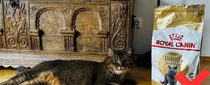 bkh futter