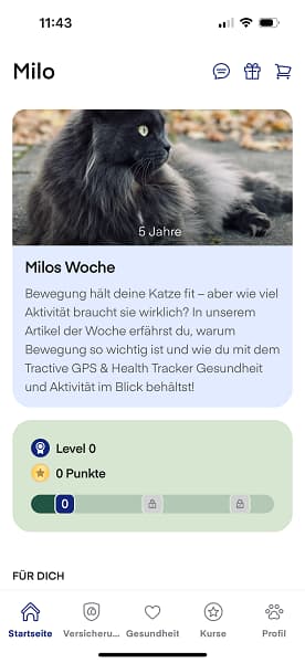 lassie app haustier