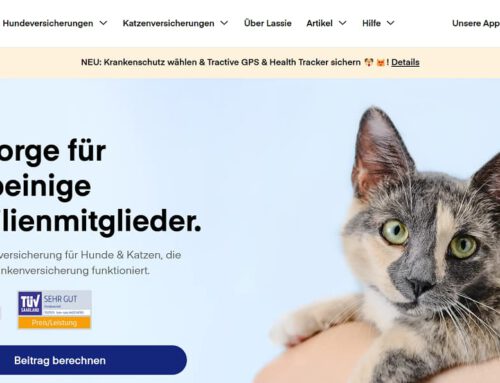 Lassie Versicherung: Unsere Erfahrungen mit der Tierversicherung (Test 2025)